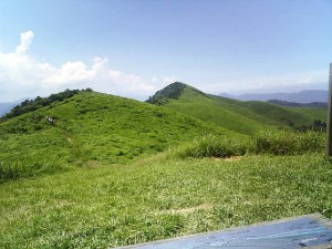 2010年07月24日_DVC00017